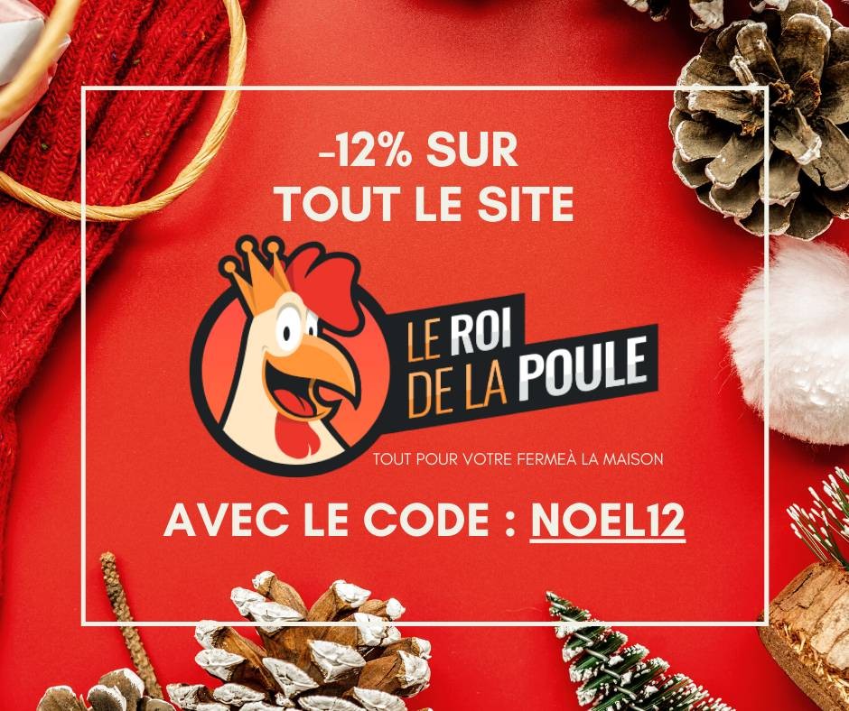 Jour 11 : Le Roi de la Poule