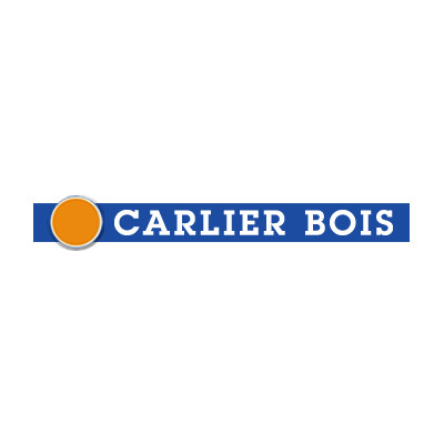 Stratégie digitale de Carlier bois, par E-net