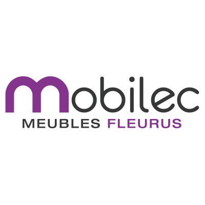 Conception d’un site internet pour Mobilec