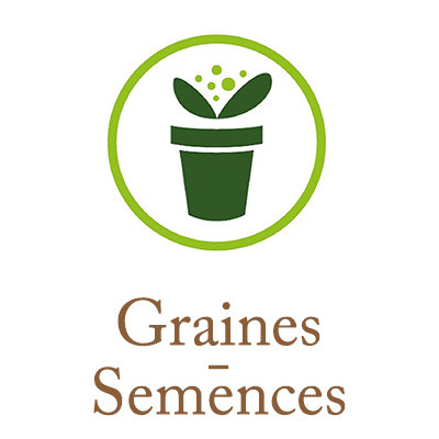 Graines - Semences